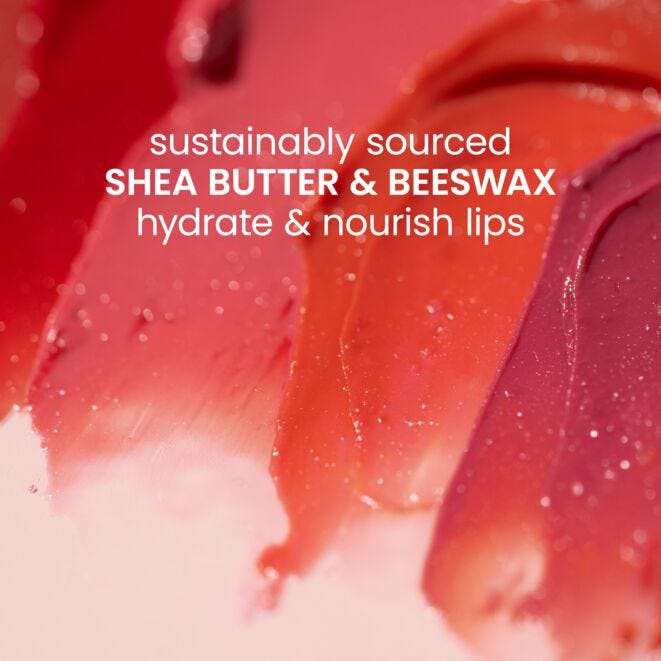 Tinted Lip Balm 2 Pack - US 0081